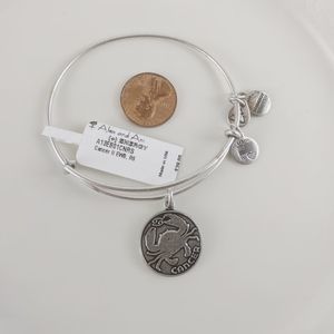 Alex and Ani Rafaelian Silver Cancer Sign Bracelet